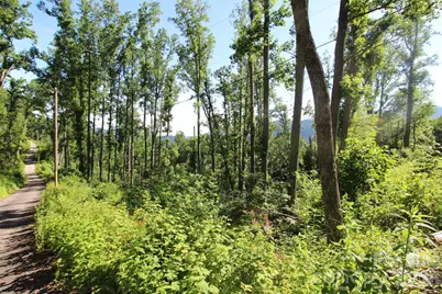 00 Ox Creek Crest Lane, Weaverville, NC 28787 - Photo 19