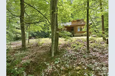 3 Parkview Drive Extension, Asheville, NC 28805 - Photo 41