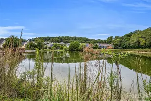 17 Black Iron Ln, Hendersonville, NC 28792 - Photo 47
