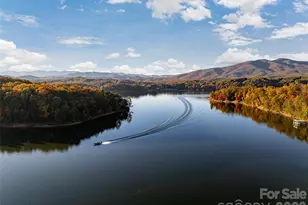 425 Dockside Dr, Nebo, NC 28761 - Photo 39