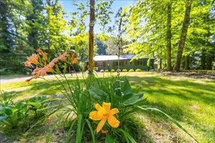 1878 Linville River Rd, Nebo, NC 28761 - Photo 17
