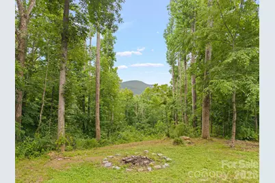 813 Beech Tree Place, Hendersonville, NC 28792 - Photo 29