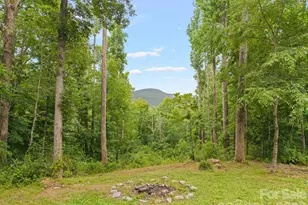 813 Beech Tree Pl, Hendersonville, NC 28792 - Photo 29