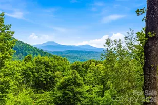 233 Tanglewood Ln, Saluda, NC 28773 - Photo 35