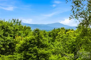 233 Tanglewood Ln, Saluda, NC 28773 - Photo 39