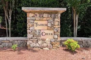 3009 Mamoth Oak Dr, Lancaster, SC 29720 - Photo 33