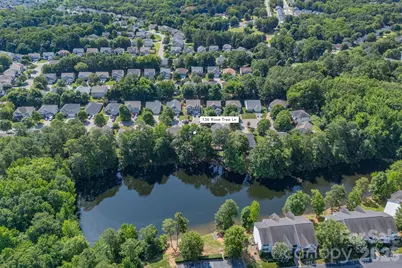 136 Rose Tree Lane, Fort Mill, SC 29715 - Photo 37
