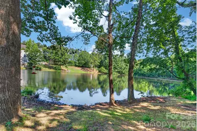 136 Rose Tree Lane, Fort Mill, SC 29715 - Photo 33