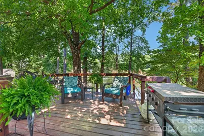 136 Rose Tree Lane, Fort Mill, SC 29715 - Photo 29