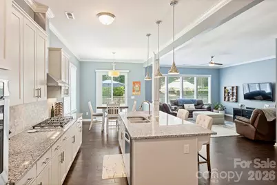 1113 Bassett Way, Fort Mill, SC 29707 - Photo 11
