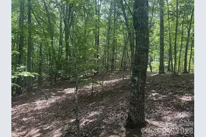 316 318 Cane Creek Mountain Road, Union Mills, NC 28167 - Photo 5