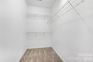 10508 Hellebore Rd, Charlotte, NC 28213 - Photo 13
