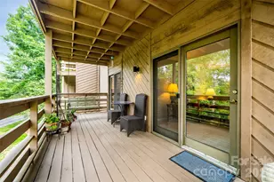305 Piney Mountain Dr, Asheville, NC 28805 - Photo 21