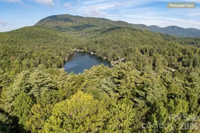 Rr 17 Lakeside Drive, Lake Toxaway, NC 28747 - Photo 13