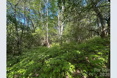 Rr 17 Lakeside Drive, Lake Toxaway, NC 28747 - Photo 3