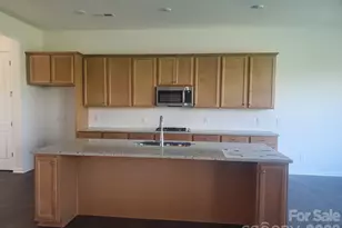 1098 Sugar Crk Rd, Indian Land, SC 29707 - Photo 3