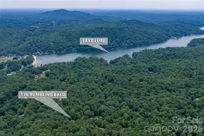 136 Rumbling Bald Road, Lake Lure, NC 28746 - Photo 41