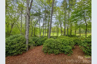 250 Fairway Drive, Lake Toxaway, NC 28747 - Photo 31