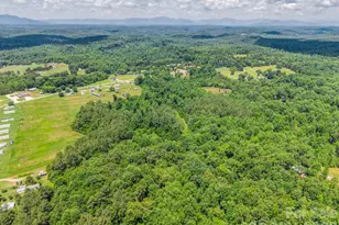 1740 Baber Rd, Rutherfordton, NC 28139 - Photo 11