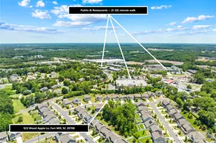 923 Wood Apple Ln, Fort Mill, SC 29708 - Photo 47