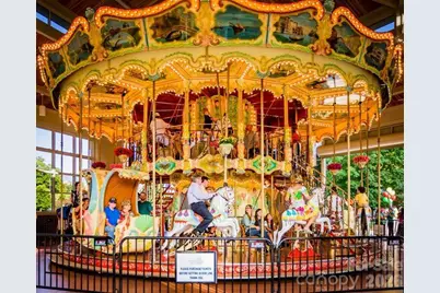 315 S Rose Avenue, Kannapolis, NC 28083 - Photo 39