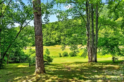 103 Richard Lane, Black Mountain, NC 28711 - Photo 41