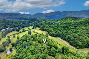 103 Richard Ln, Black Mountain, NC 28711 - Photo 43