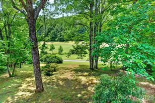 103 Richard Ln, Black Mountain, NC 28711 - Photo 21