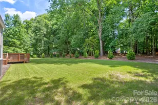 13033 Cinnamon Fern Ln, Charlotte, NC 28227 - Photo 39
