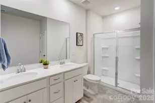 13033 Cinnamon Fern Ln, Charlotte, NC 28227 - Photo 19
