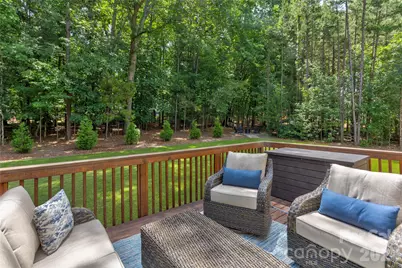 13033 Cinnamon Fern Lane, Charlotte, NC 28227 - Photo 35