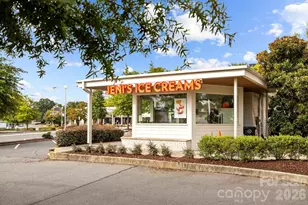 1315 Holmes Dr, Charlotte, NC 28209 - Photo 29
