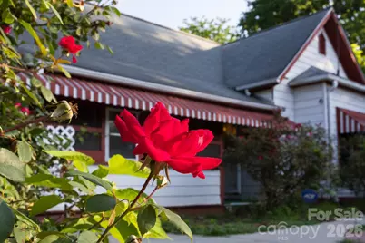 91 Clingman Avenue, Asheville, NC 28801 - Photo 3