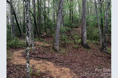 00000 Shady Bark Lane 43 & #44, Rutherfordton, NC 28139 - Photo 31