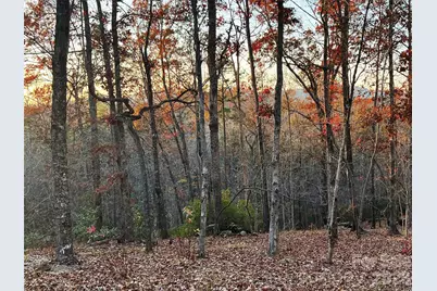 00000 Shady Bark Lane 43 & #44, Rutherfordton, NC 28139 - Photo 29
