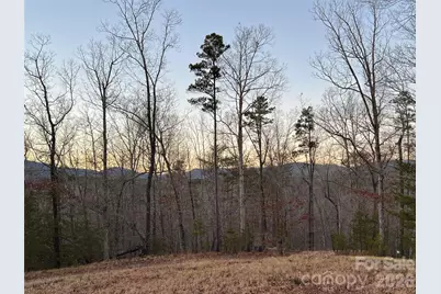 00000 Shady Bark Lane 43 & #44, Rutherfordton, NC 28139 - Photo 5