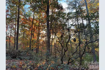 00000 Shady Bark Lane 43 & #44, Rutherfordton, NC 28139 - Photo 19
