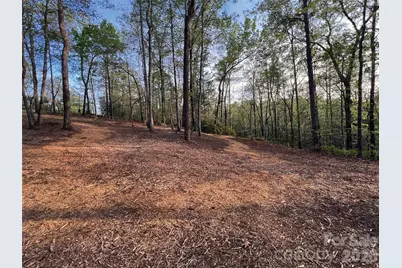00000 Shady Bark Lane 43 & #44, Rutherfordton, NC 28139 - Photo 13