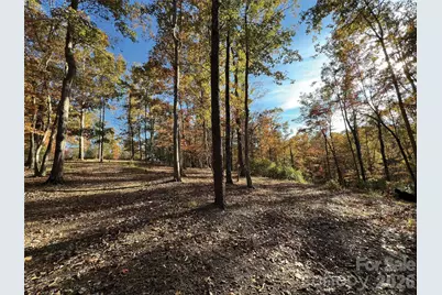 00000 Shady Bark Lane 43 & #44, Rutherfordton, NC 28139 - Photo 11