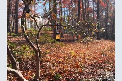 00000 Shady Bark Lane 43 & #44, Rutherfordton, NC 28139 - Photo 25
