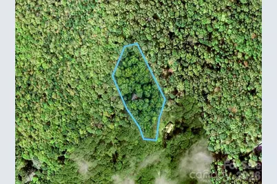 72 Wildflower Mountain Trail, Candler, NC 28715 - Photo 37
