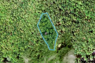 72 Wildflower Mountain Trl, Candler, NC 28715 - Photo 37