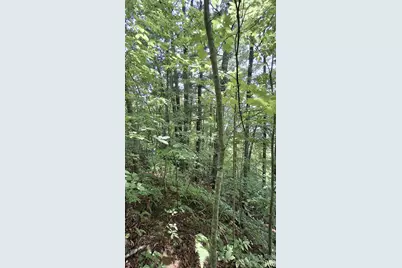 112 Kako Ridge #59, Sylva, NC 28779 - Photo 11