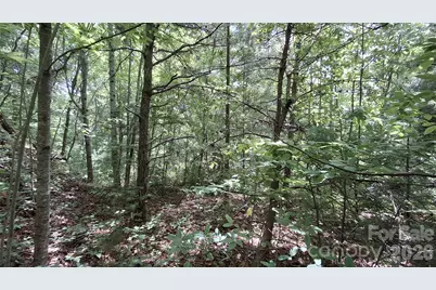 112 Kako Ridge #59, Sylva, NC 28779 - Photo 17