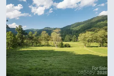 741 Morrow Branch Road, Leicester, NC 28748 - Photo 3