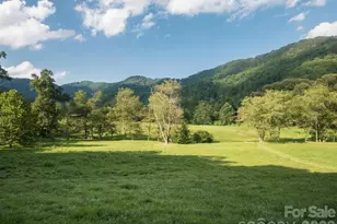 741 Morrow Branch Rd, Leicester, NC 28748 - Photo 3