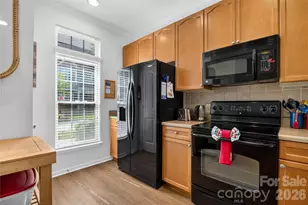 278 Davidson Gateway Dr, Davidson, NC 28036 - Photo 15