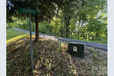 9999 Hunters Ridge Road, Canton, NC 28716 - Photo 11