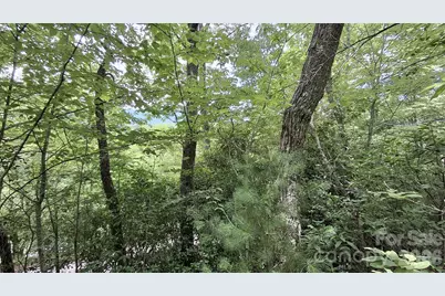 77 Kako Ridge #57, Sylva, NC 28779 - Photo 15