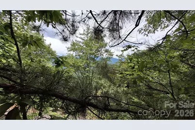 77 Kako Ridge #57, Sylva, NC 28779 - Photo 13